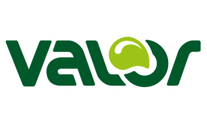 15 valor logo